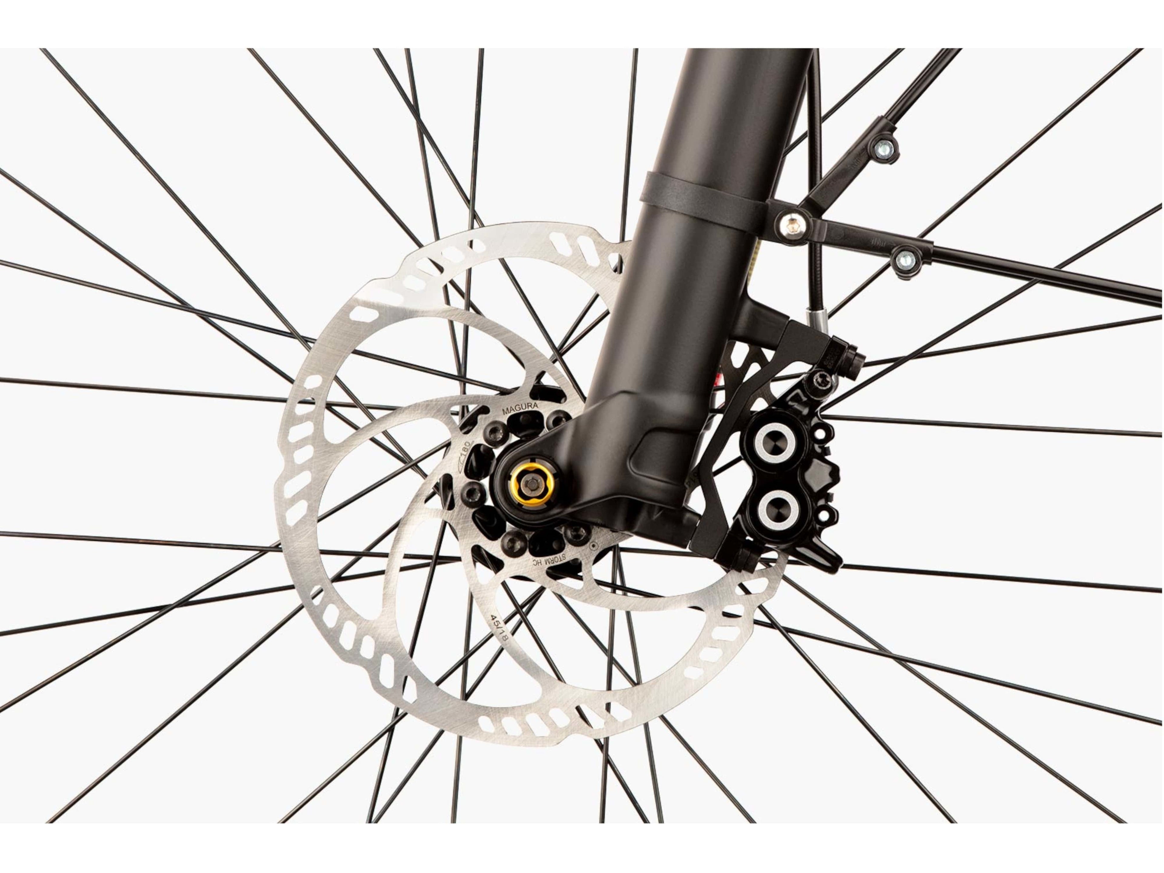 Riese & Muller Multicharger Mixte GT Rohloff HS