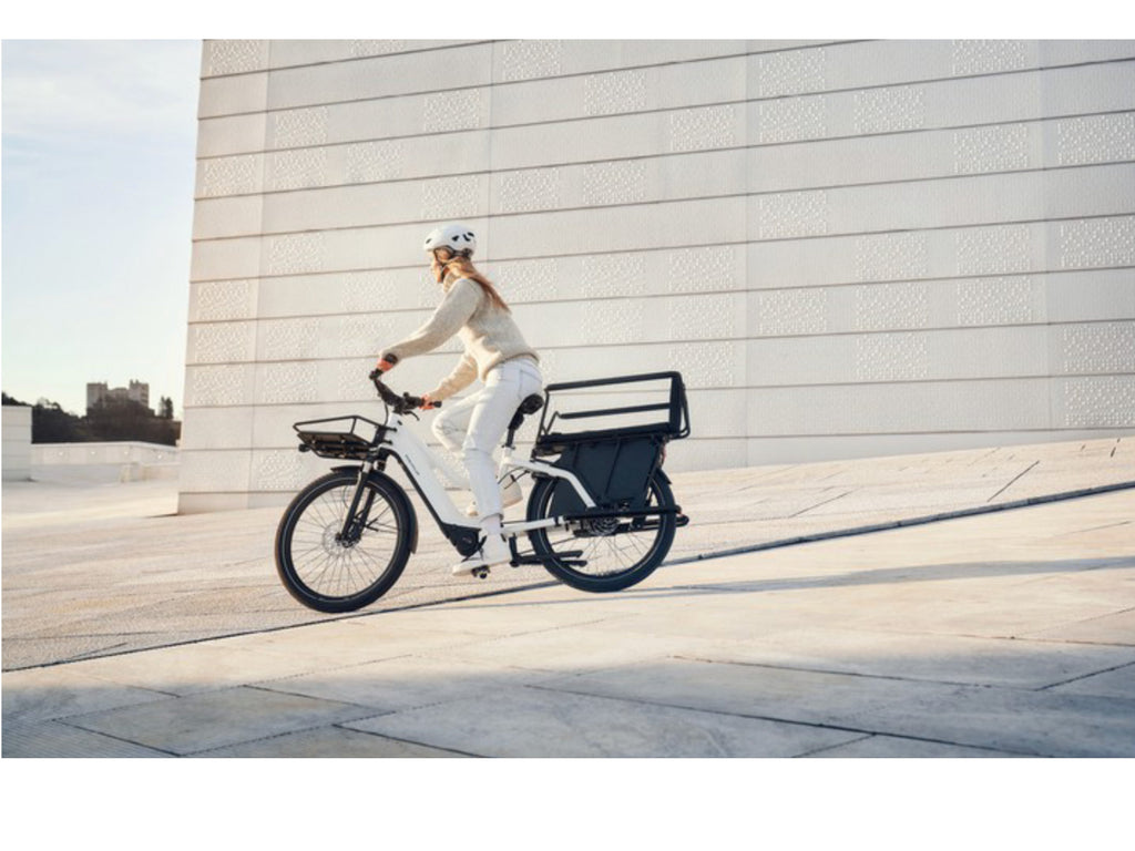 Riese & Muller Multicharger Mixte GT Touring 750