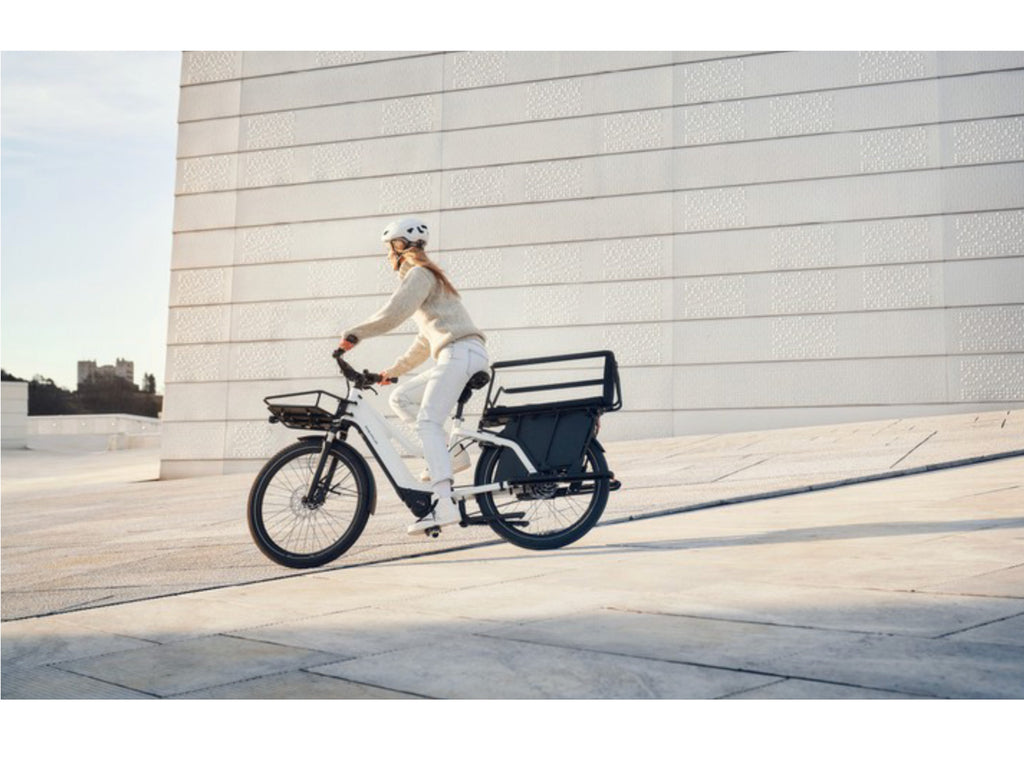 Riese & Muller Multicharger Mixte GT Touring HS