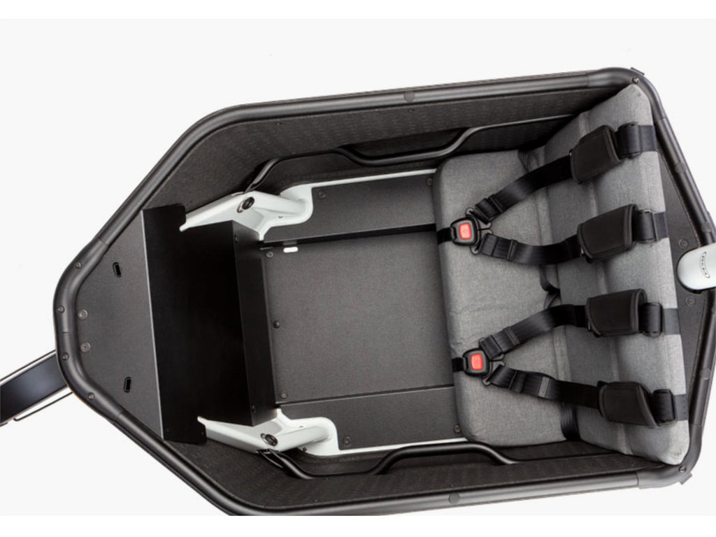 Riese & Muller Packster 70 Vario