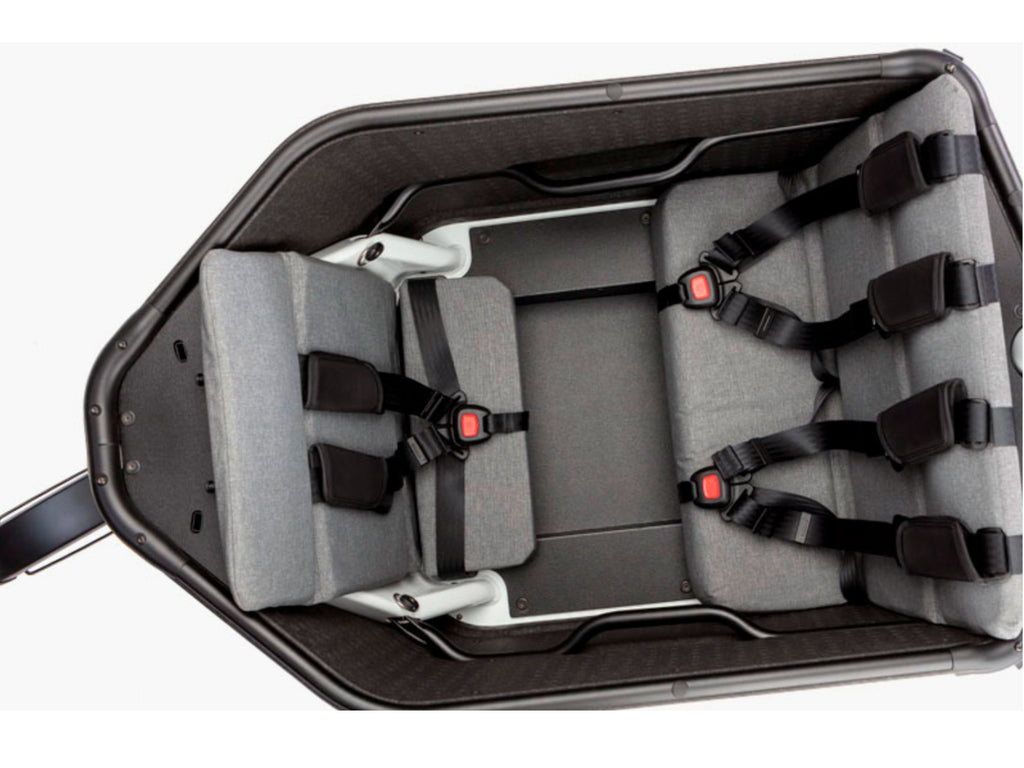 Riese & Muller Packster 70 Vario
