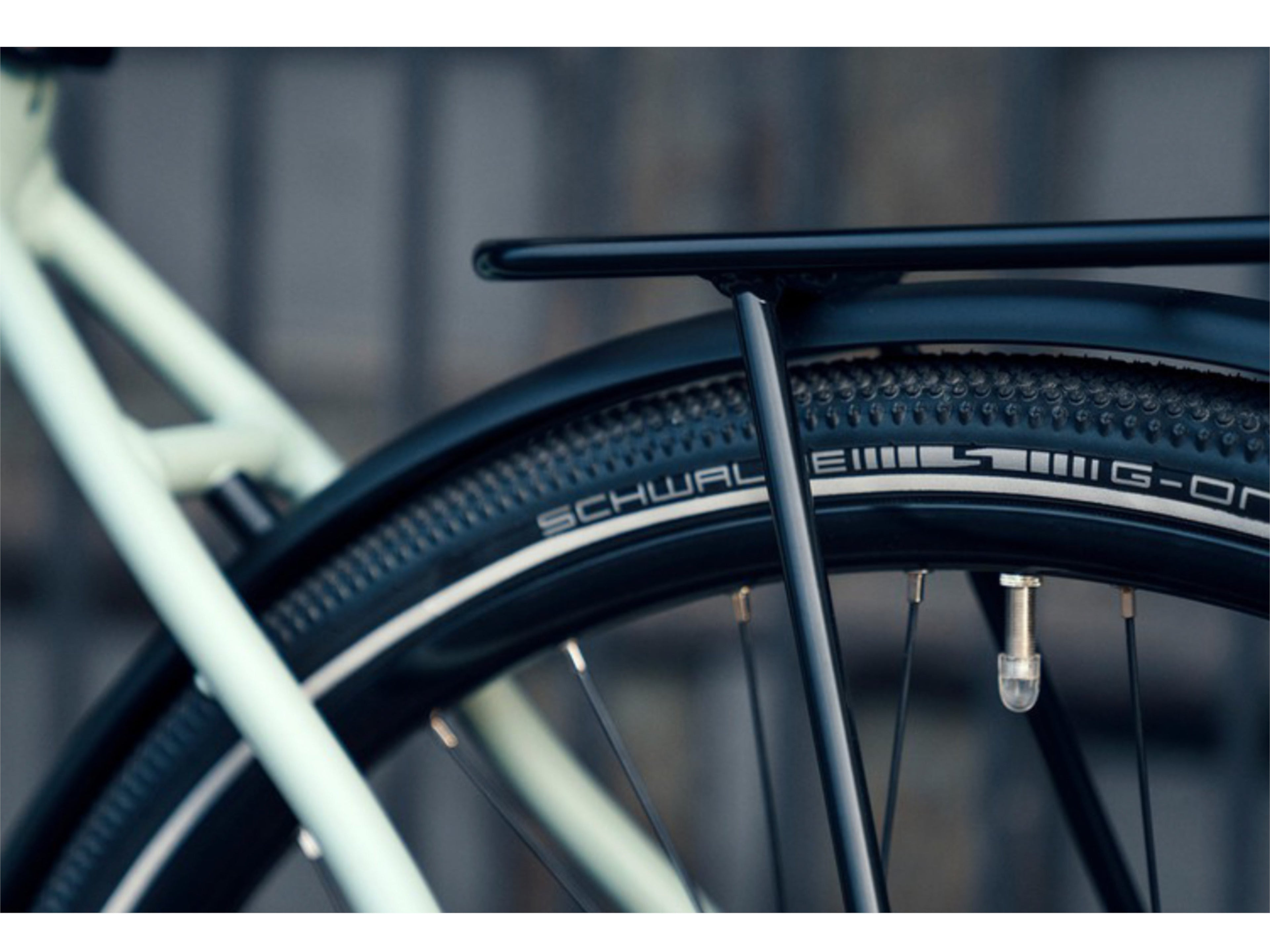 Riese and Muller Roadster Mixte Touring HS
