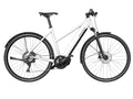 Riese and Muller Roadster Mixte Touring