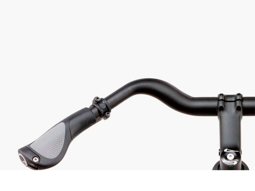 Riese and Muller Roadster Mixte Vario HS