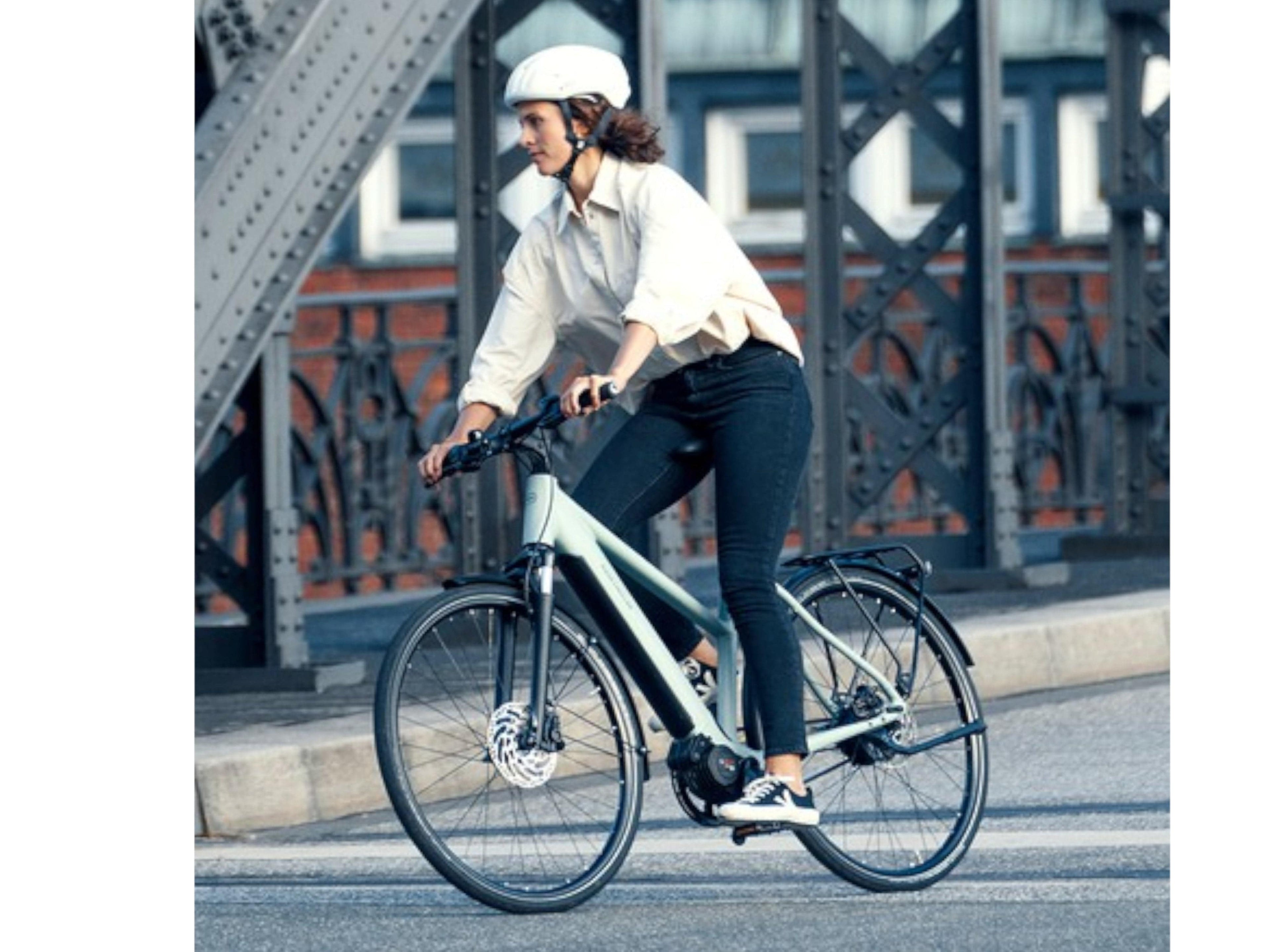 Riese and Muller Roadster Mixte Touring HS