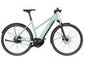 Riese and Muller Roadster Mixte Vario