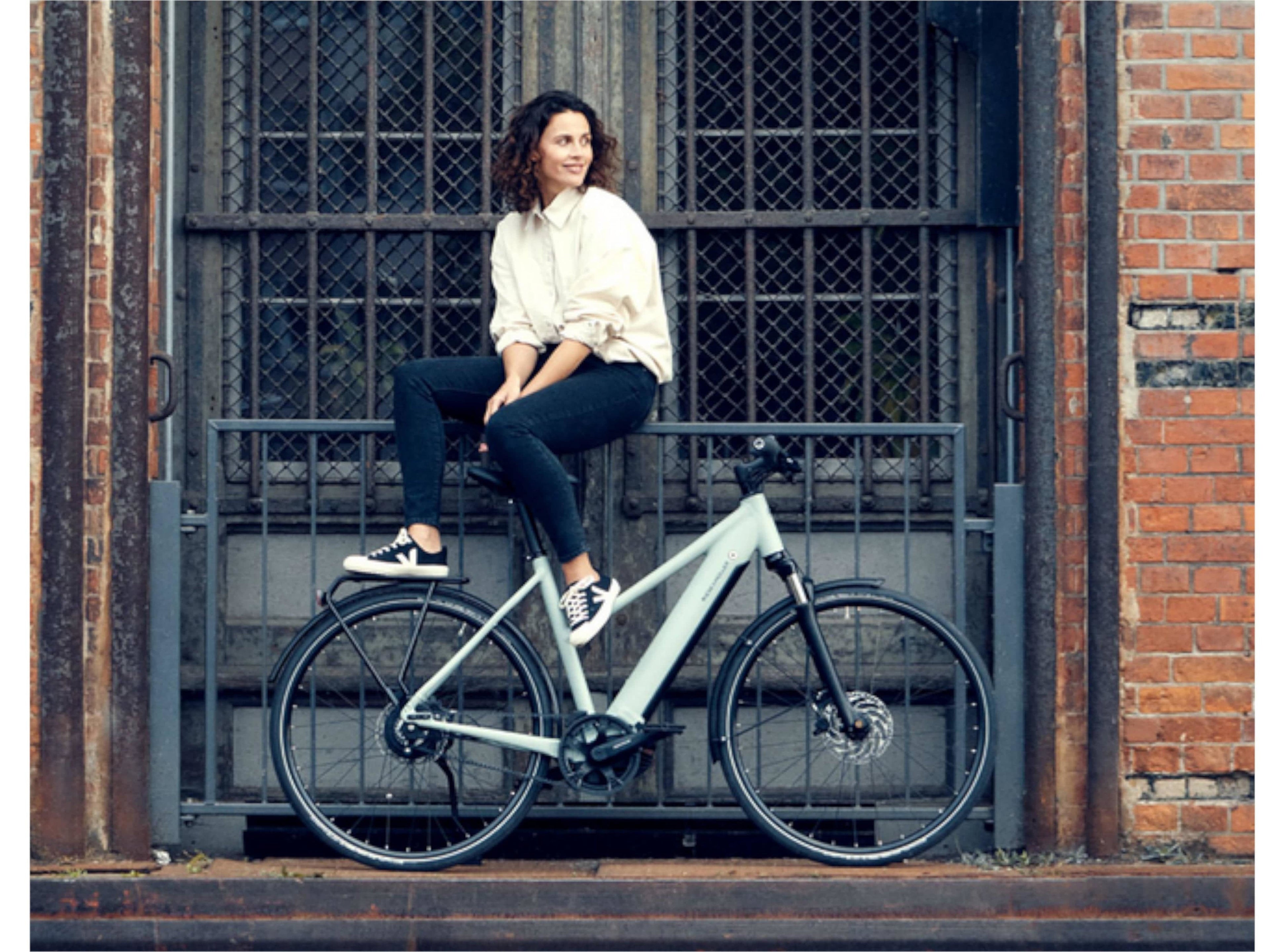Riese and Muller Roadster Mixte Vario