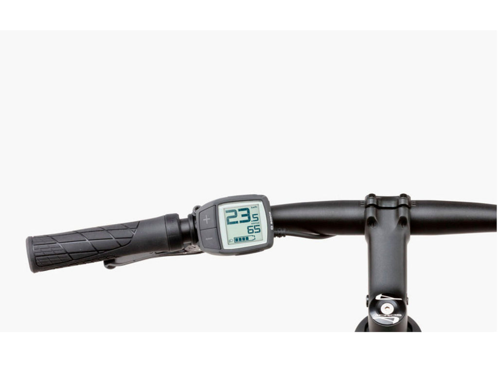 Riese and Muller Roadster Touring HS
