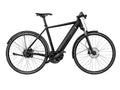 Riese and Muller Roadster Vario