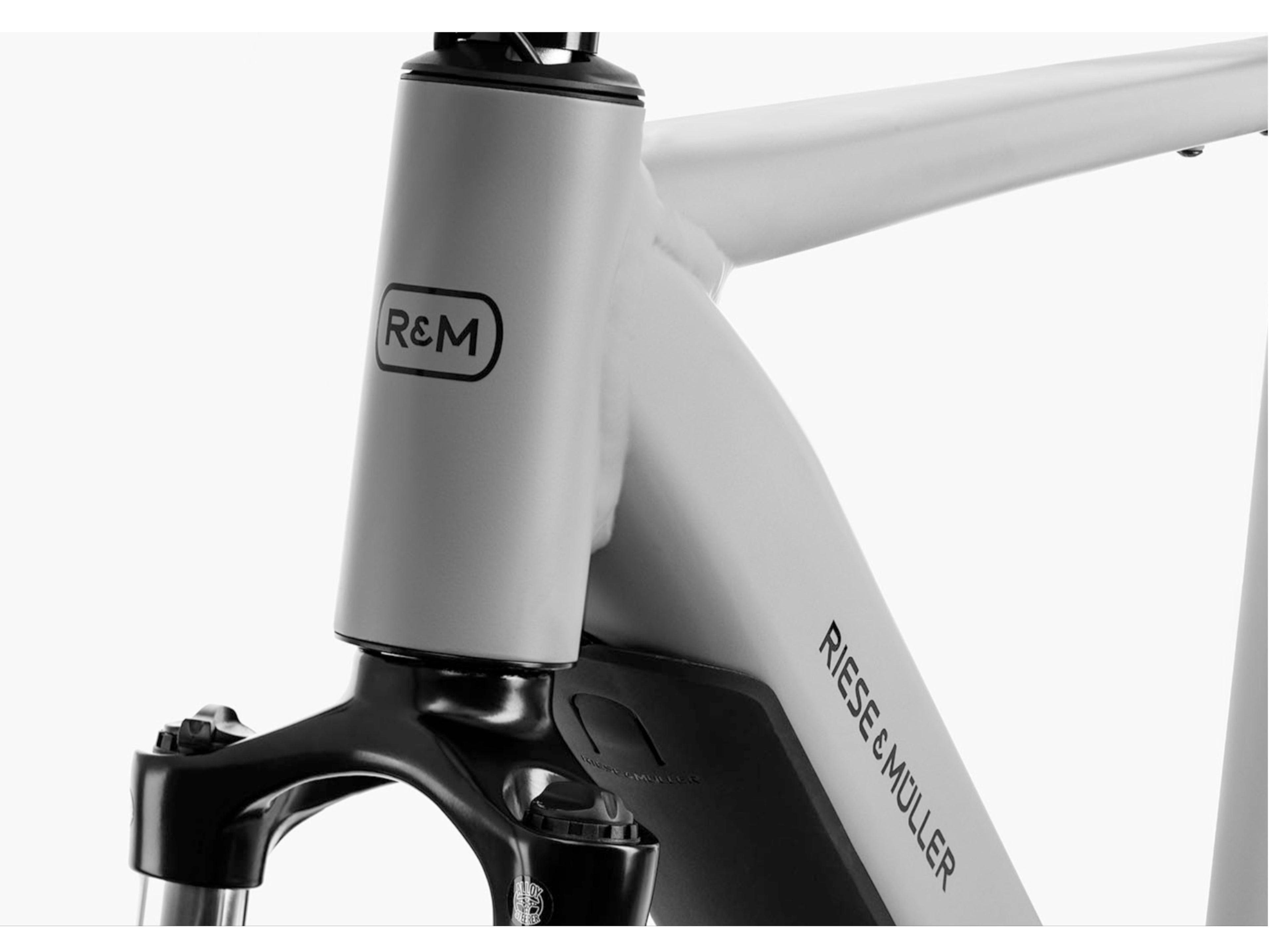 Riese and Muller Roadster Vario