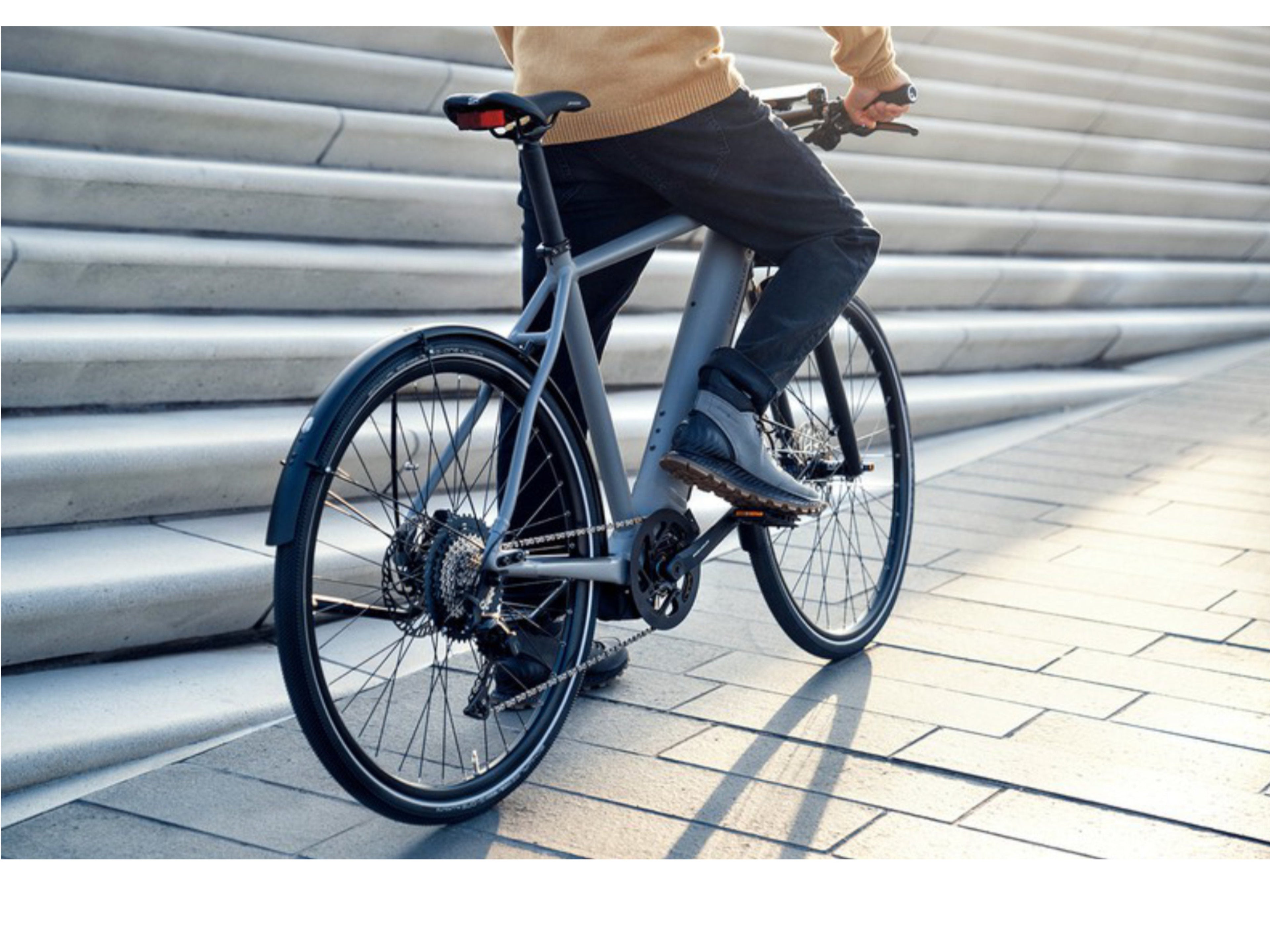 Riese and Muller Roadster Vario