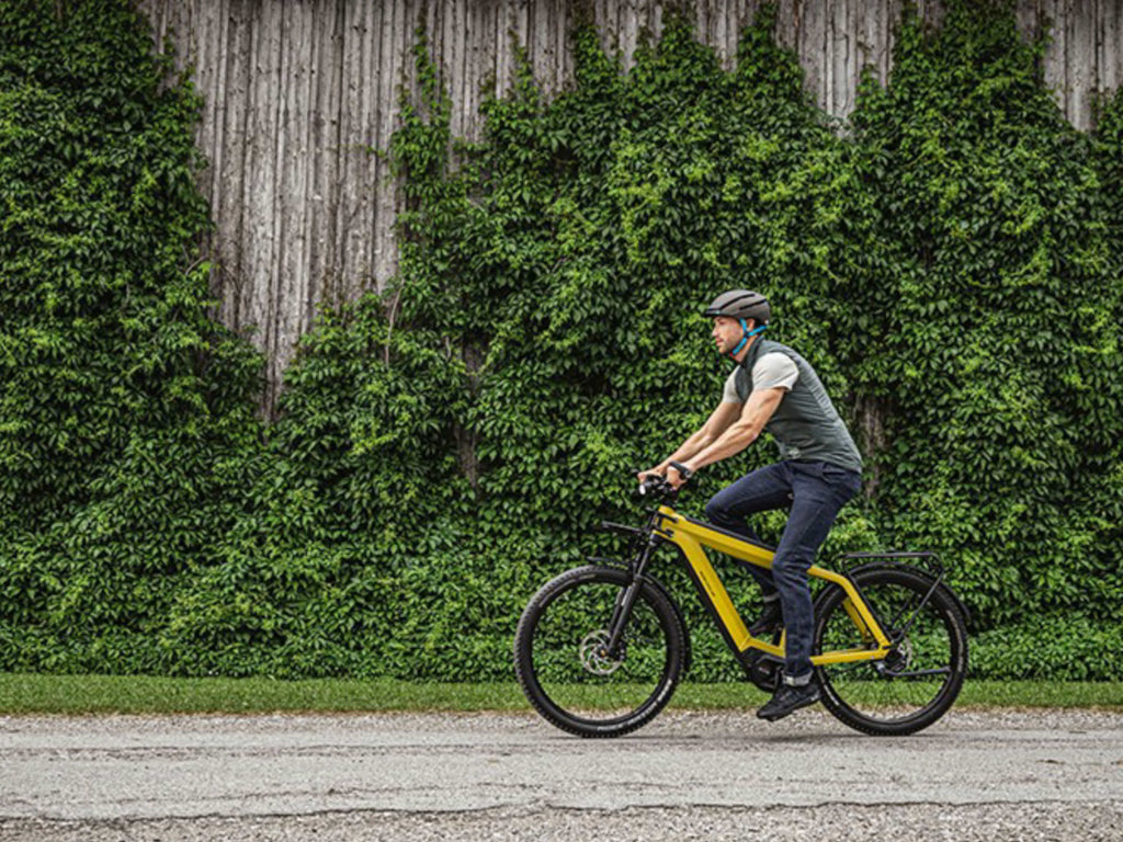 Riese and Muller Supercharger GT Vario
