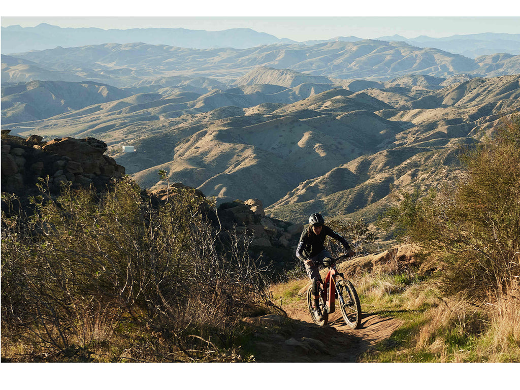 Specialized Turbo Levo Pro