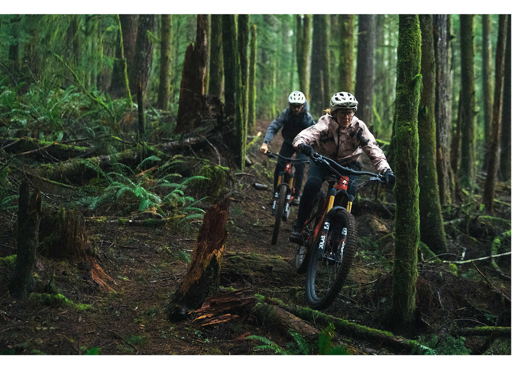 Specialized Turbo Levo Pro