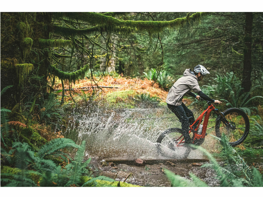 Specialized Turbo Levo Alloy