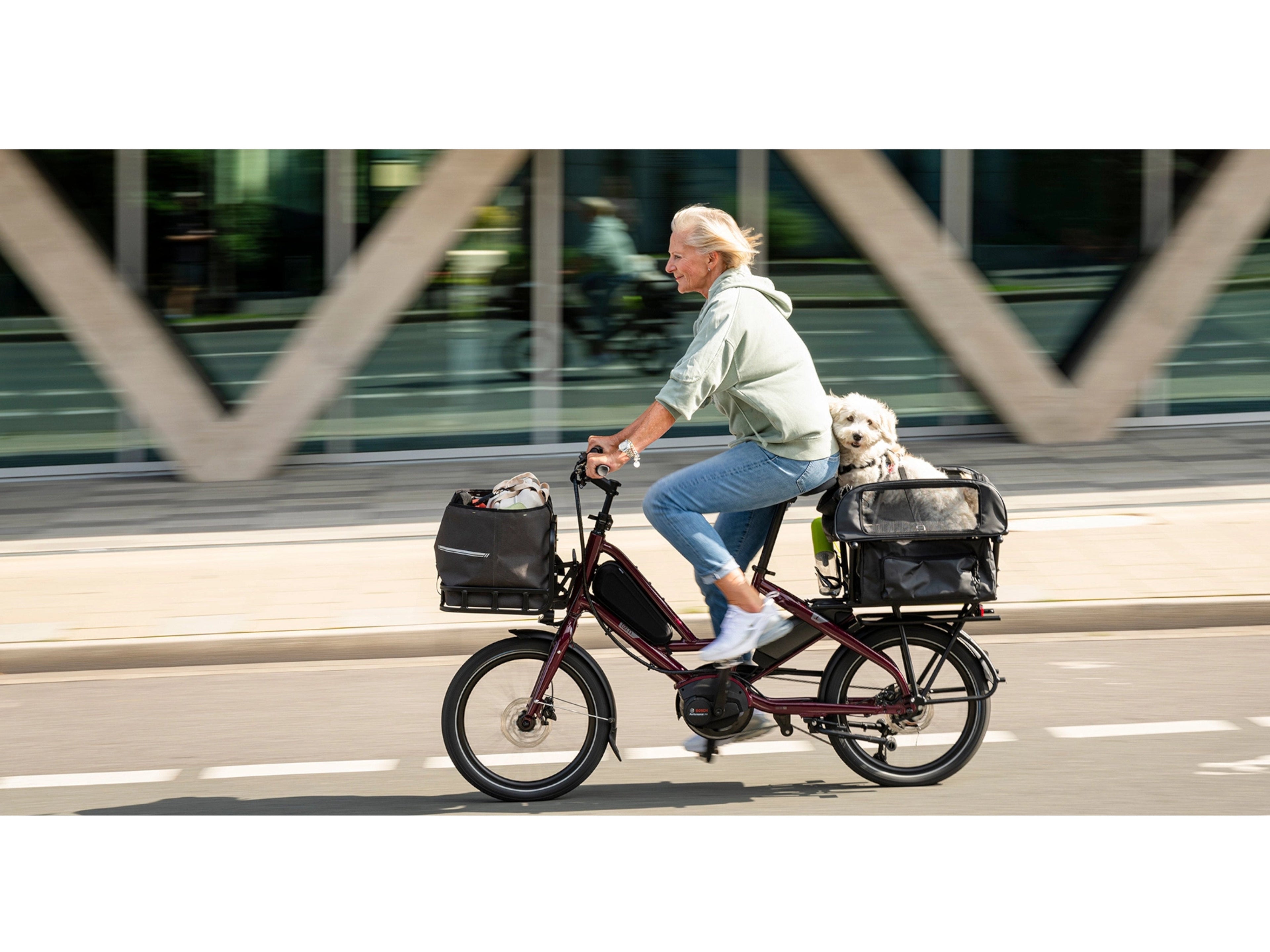 Tern Quick Haul P9 Sport